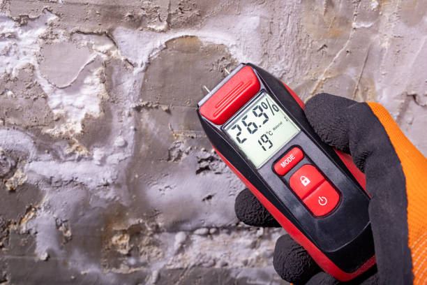 Attic Mold Removal in Kingsley, IA